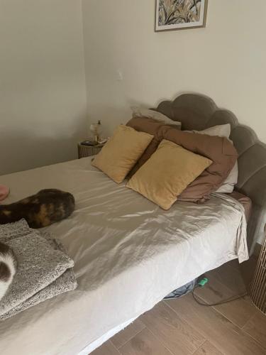 Foto dalla galleria di Maison chez habitant a Dommartin