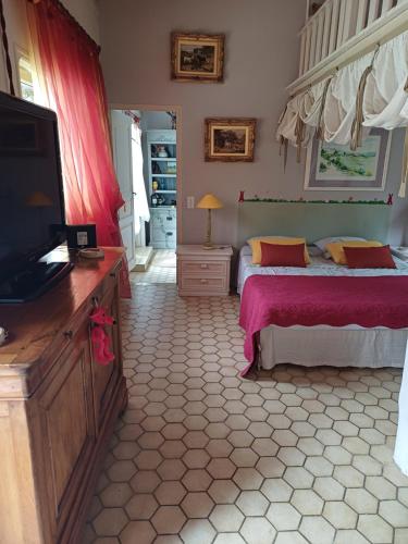 une chambre avec un lit et une télévision à écran plat dans l'établissement Le Mazet du Lapin Rouge, à Figanières