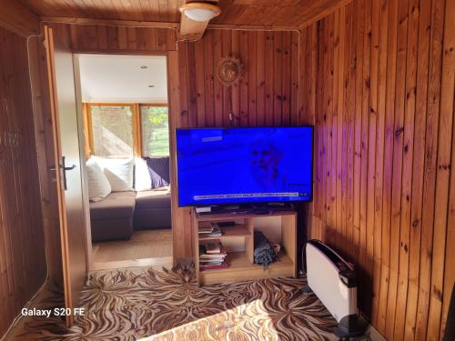 Televízia a/alebo spoločenská miestnosť v ubytovaní Wypoczynek Gawrych Ruda