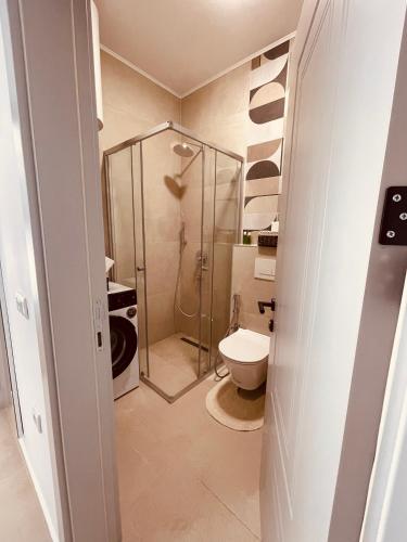 a bathroom with a shower and a toilet at Apartments Buongiorno in Ulcinj