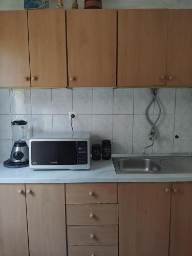 a kitchen counter with a microwave and a sink at Apartment Tome - room with bathroom and separate kitchen in Nin