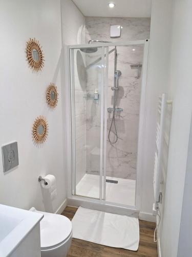 a bathroom with a shower and a toilet at Maisonnette 4 pers - Terrasse - Olivet in Olivet
