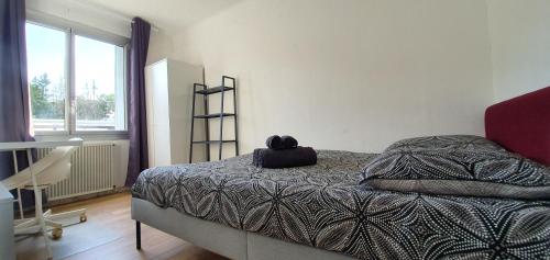 a bedroom with a bed with a cat sitting on it at Appartement calme 3 chambres avec lit double Wifi - Parking facile in Vandoeuvre-lès-Nancy