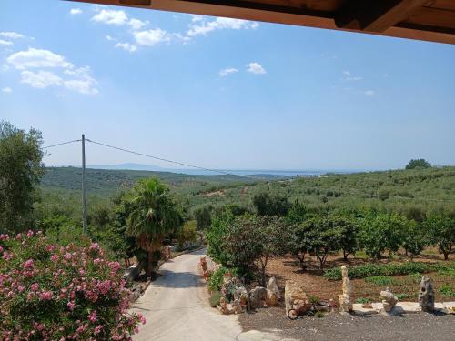 a view of a road with trees and flowers at La Casa Del Nonno in Ischitella