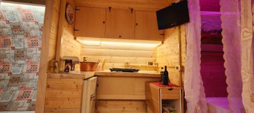 a small kitchen in a cabin with a tv in it at GioiaVitae - Bed-in-Botte - Dormire in vigna in Luogosano