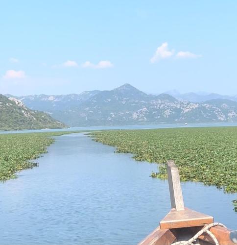 a boat on a river with mountains in the background at Apartments Stella in Virpazar