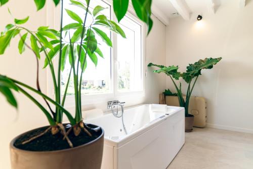 Un baño con bañera blanca y dos plantas en macetas. en La Bali, Luxe et relaxation, en La Ferté-Gaucher