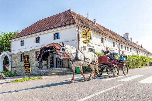 Fotografie z fotogalerie ubytování Penzion Horse Farm Lechovice v destinaci Lechwitz
