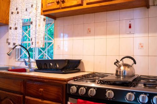 Cucina o angolo cottura di Pampered In Paradise Columbus Heights 2 BR penthouse condo near Ian Fleming airport