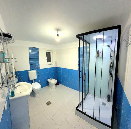 a bathroom with a shower and a toilet and a sink at CASA IONUȚ in Borşa