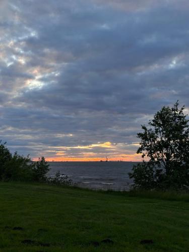 a sunset over a body of water with a tree at SMART flat - Ranna 49 in Sillamäe