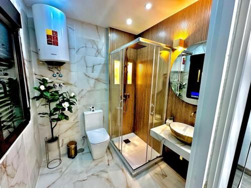 a bathroom with a toilet and a shower and a sink at AP Rooms in Almorox