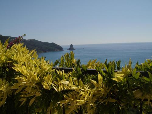 a view of the ocean from behind some plants at Secret Blue Bay by BS in Agios Gordios