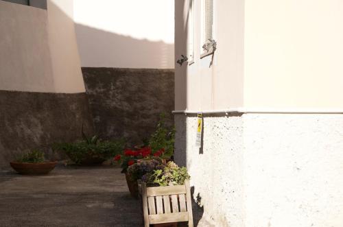 a wooden bench sitting next to a building with flowers at On the Tuscan coast in Piombino