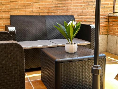a potted plant sitting on a table on a patio at AP Rooms in Almorox