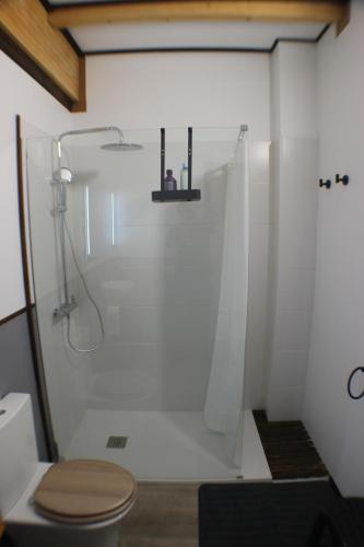 a bathroom with a shower with a toilet at Casa Tacande del Valle in Santiago del Teide