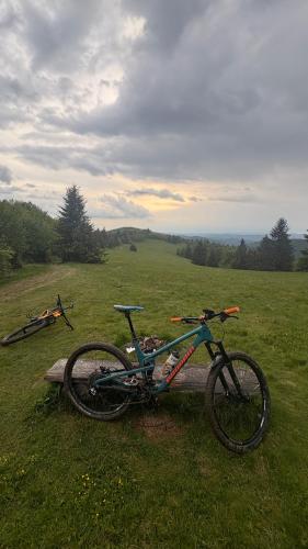 Naturlandschaft in der Nähe des Ferienhauses