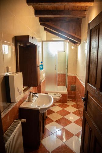 a bathroom with a sink and a toilet at Rodino gnijezdo guesthouse in Brodski Varoš