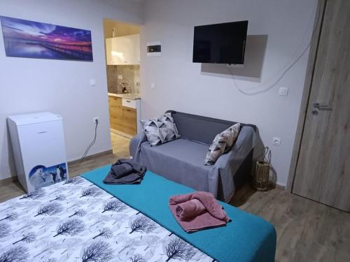 DREAMs ROOM2