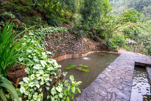 a pond of water with a bunch of leaves in it at Nuga Retreat in Galauda