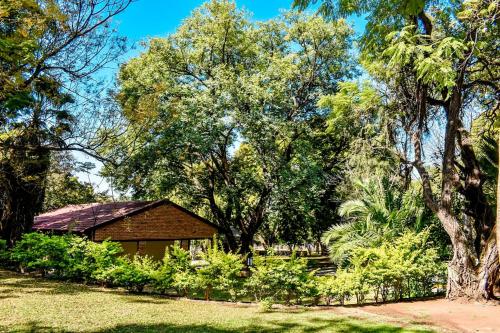 Taman di luar Phabema Guest House