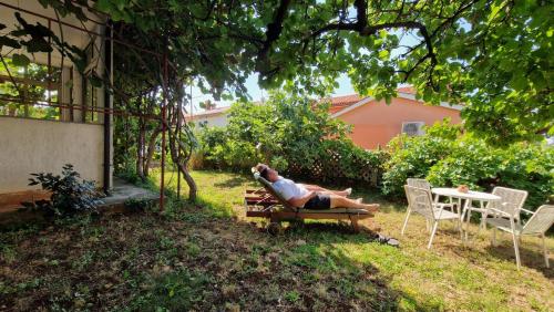 O grădină în afara Villa Aleksandar Porec