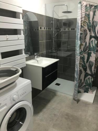 a bathroom with a washing machine and a sink at appt 10 couchages tt confort appt 3 in Laveissière