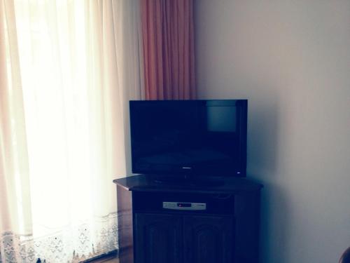 TV a/nebo společenská místnost v ubytování Apartment Pejic