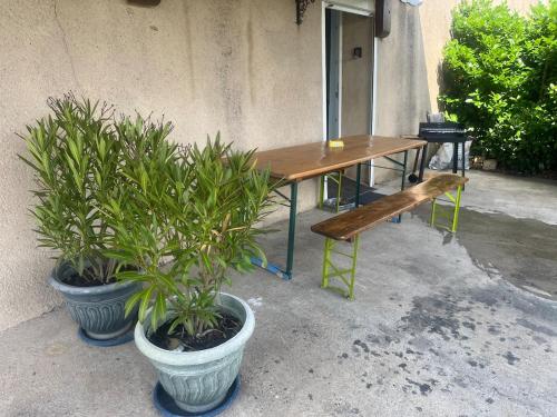 a wooden table with a bench and two potted plants at Chez Mady in Kirschnaumen