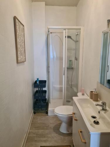 a bathroom with a shower and a toilet and a sink at Appartement RDC centre ville in Bort-les-Orgues
