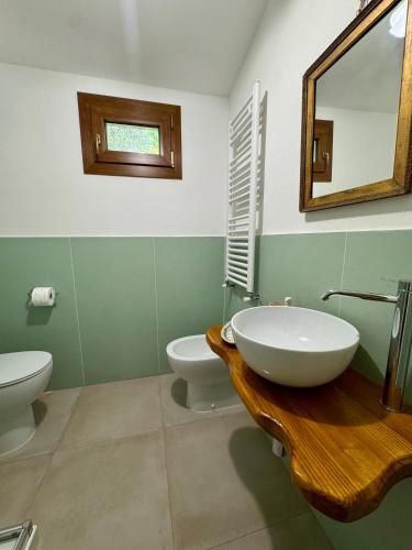 a bathroom with a sink and a toilet and a mirror at Casetta Girasole - Monterchi in Monterchi