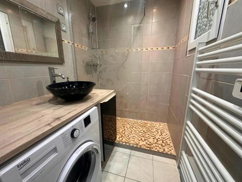 une salle de bain avec un lavabo et une machine à laver dans l'établissement Asteria by Pom, clim, pkg, wifi, au Cap d'Agde