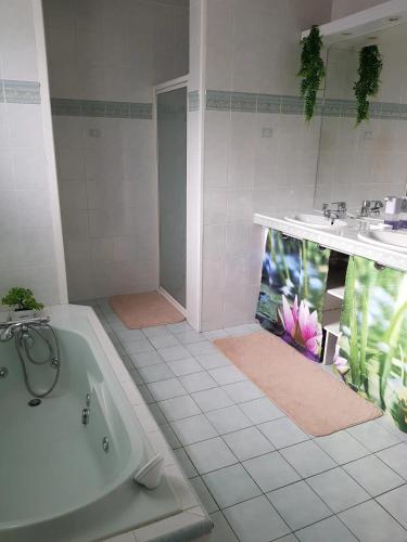 une salle de bain avec une baignoire et un lavabo dans l'établissement Maison authentique avec spa près de Dax et son jardin, à Angoumé