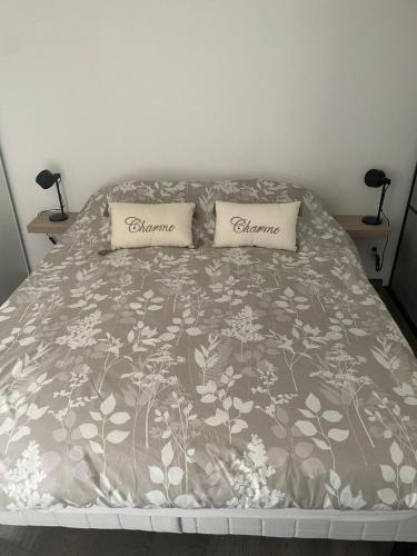 a bed with two pillows on top of it at Bienvenue, charmant lieu cosy in Chassieu