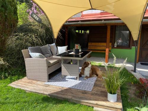a dog sitting on a patio under an umbrella at Ubytování pod Rozhlednou in Velké Karlovice