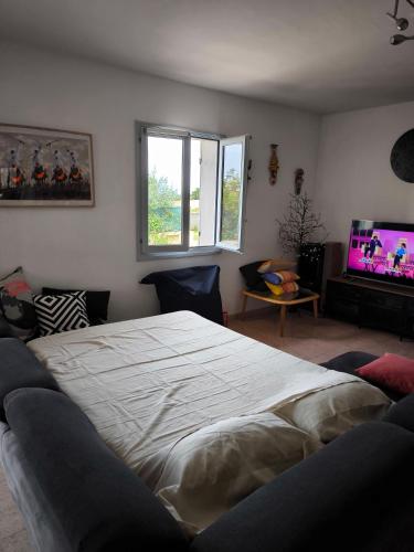 a bedroom with a large bed and a tv at Sud Bastia 50 m2 privé avec jacuzzi et piscine in Monte