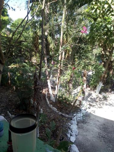 Κήπος έξω από το Mi jardín hospedaje