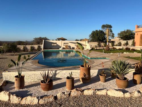 a row of potted plants next to a swimming pool at Villa Sakina Essaouira in Ounagha