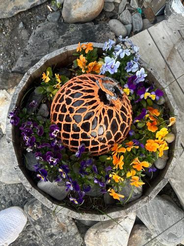Gambar di galeri bagi Arran Nordkapp di Honningsvåg
