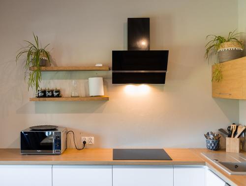a kitchen with a counter top with a microwave at Solina Bóbrka Apartamenty PanDamazy 530-487-636z widokiem na kamieniołom i Zalew Myczkowiecki in Solina
