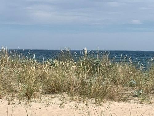 Fotografie z fotogalerie ubytování MECHELinn v destinaci Mechelinki