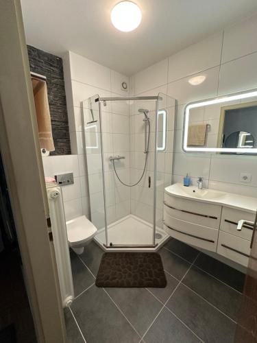 a bathroom with a shower and a toilet and a sink at Haus - Sonneck in Schonwald im Schwarzwald
