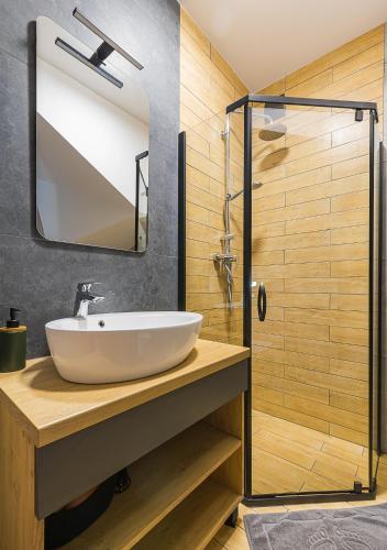 a bathroom with a sink and a shower at Solina Bóbrka Apartamenty PanDamazy 530-487-636z widokiem na kamieniołom i Zalew Myczkowiecki in Solina