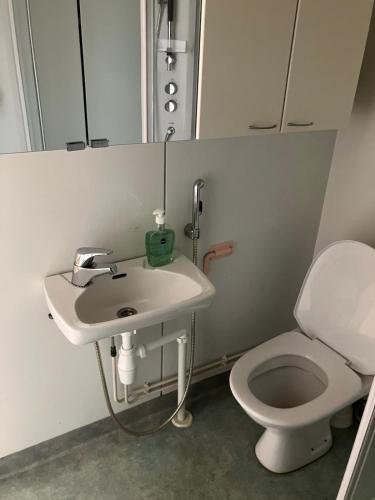 a bathroom with a sink and a toilet at Apartment in the center of Lapua in Lapua