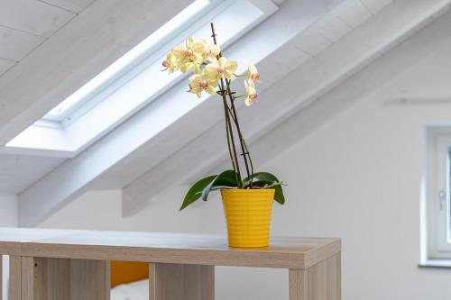 a plant in a yellow pot on a wooden table at Dimora Zagara in Amalfi