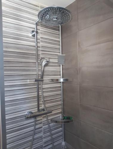 une douche dans une salle de bain avec une porte vitrée dans l'établissement Chez Jeanine Maison Familiale, à Schaeffersheim