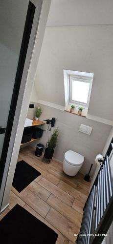 a bathroom with a toilet and a window at Haus Pusteblume in Eppenbrunn