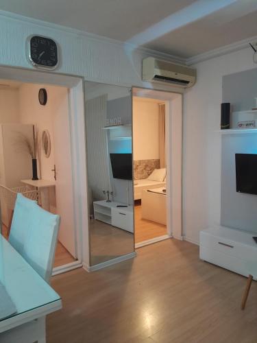 TV a/nebo společenská místnost v ubytování Apartmani Nis