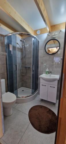 Koupelna v ubytování Domek Wypoczynkowy W Brajnikach