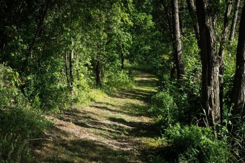Φωτογραφία από το άλμπουμ του Domki nad jeziorem σε Dabrowno